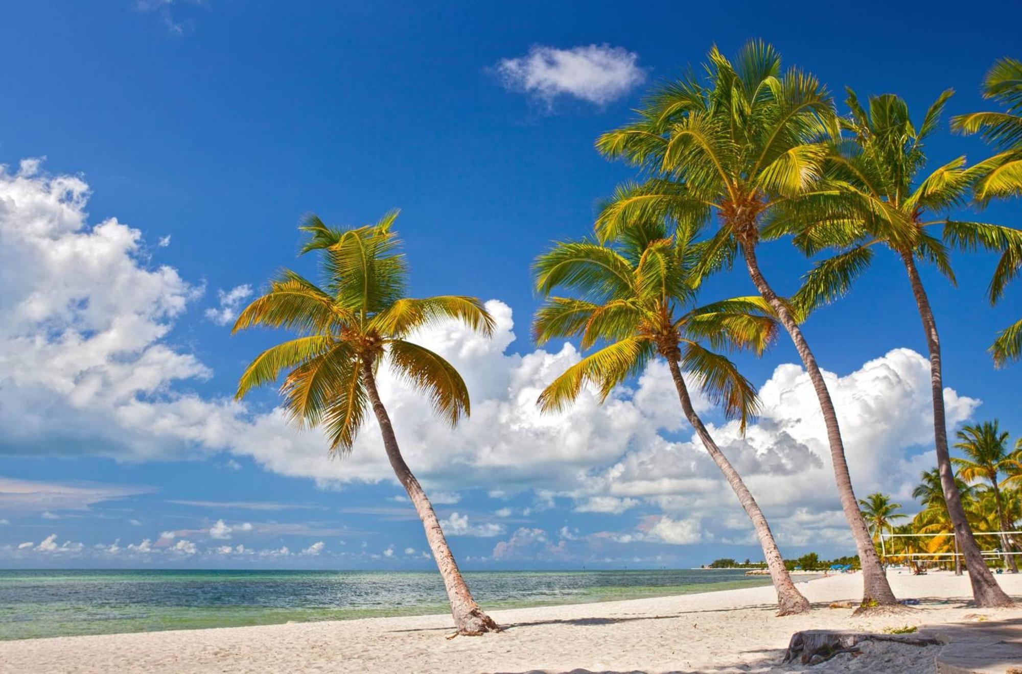 Casa Grande By Avantstay Dt Key West Near South Beach W Pool Dış mekan fotoğraf